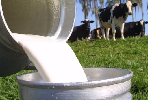 20200703152435 producao de leite
